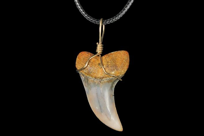 Fossil Mako Tooth Necklace - Bakersfield, California #130878